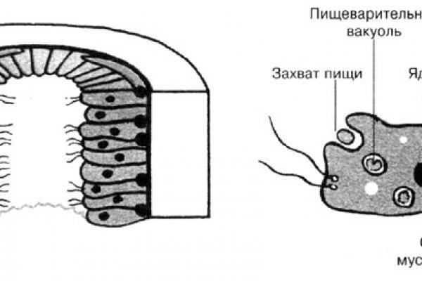 Украли аккаунт на кракене