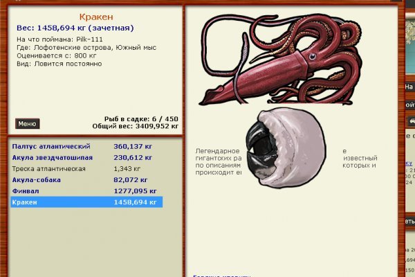 Какой кракен сейчас работает