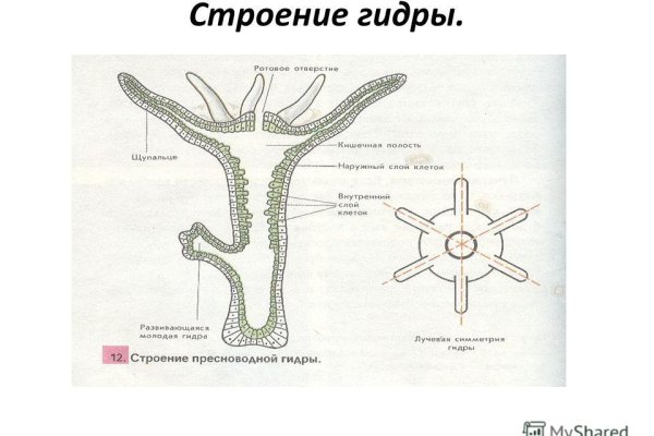 Кракен это современный даркнет